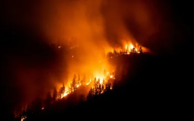 Health, Wildfires, and Climate Change in California
