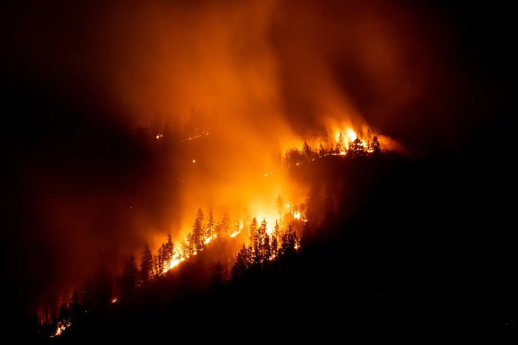 Wildfire AdobeStock_528803352