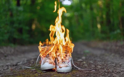 Brominated Flame Retardants: At What Cost?